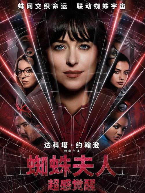 蜘蛛夫人爆料视频大全,视频大全揭秘幕后真相